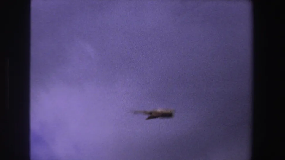 1969 South Africa 8mm frame showing the bird lower in the sky, blurred by motion and soft focus above a faint horizon line.