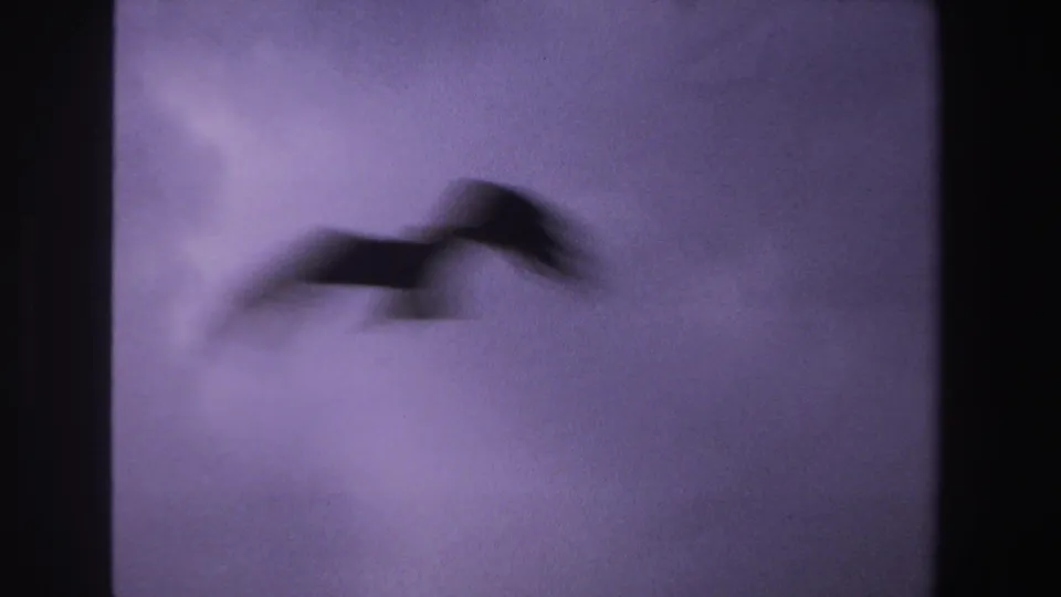1969 South Africa 8mm frame showing a motion-blurred bird crossing a pale sky.