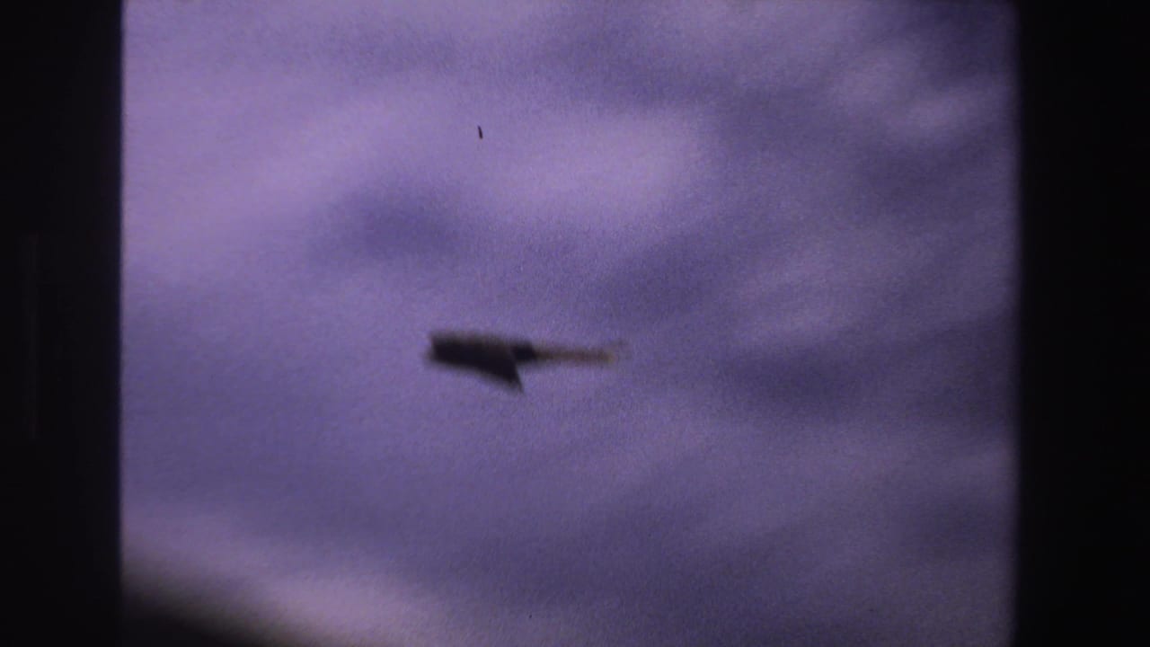 Dark bird silhouette crossing a purple-tinged sky.