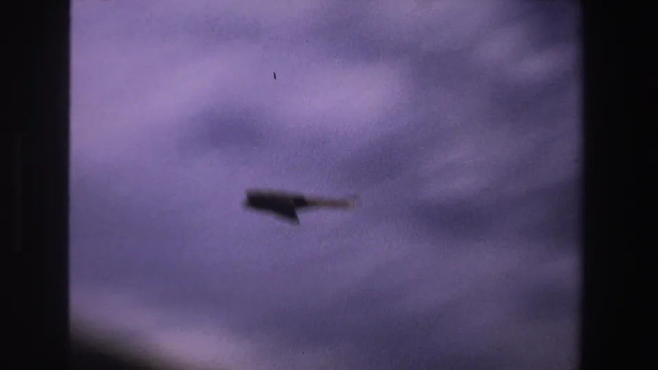 A dark bird silhouette flies through a purple sky in 1969 South Africa 8mm home-movie footage.