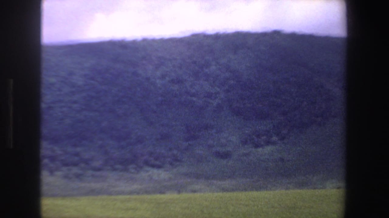 Open grassland below a dark mountain ridge and cloudy sky.