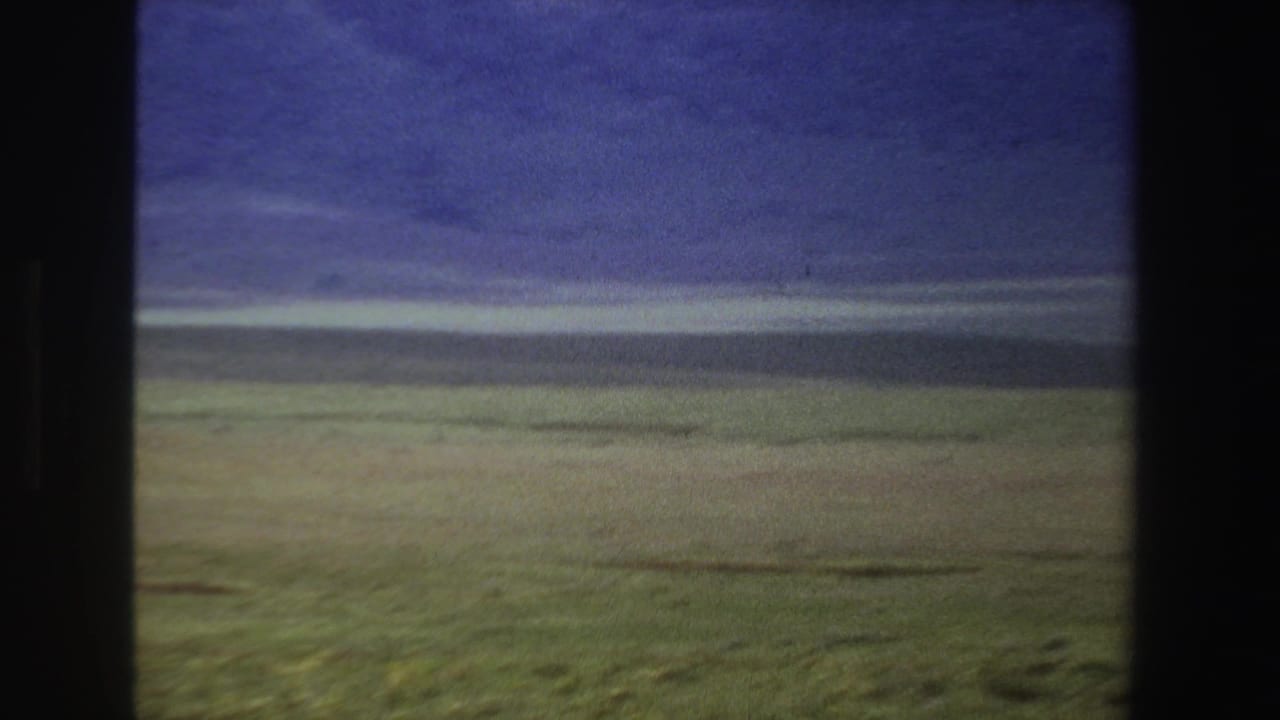 Open grassy plain beneath a dark blue overcast sky and low distant ridge.
