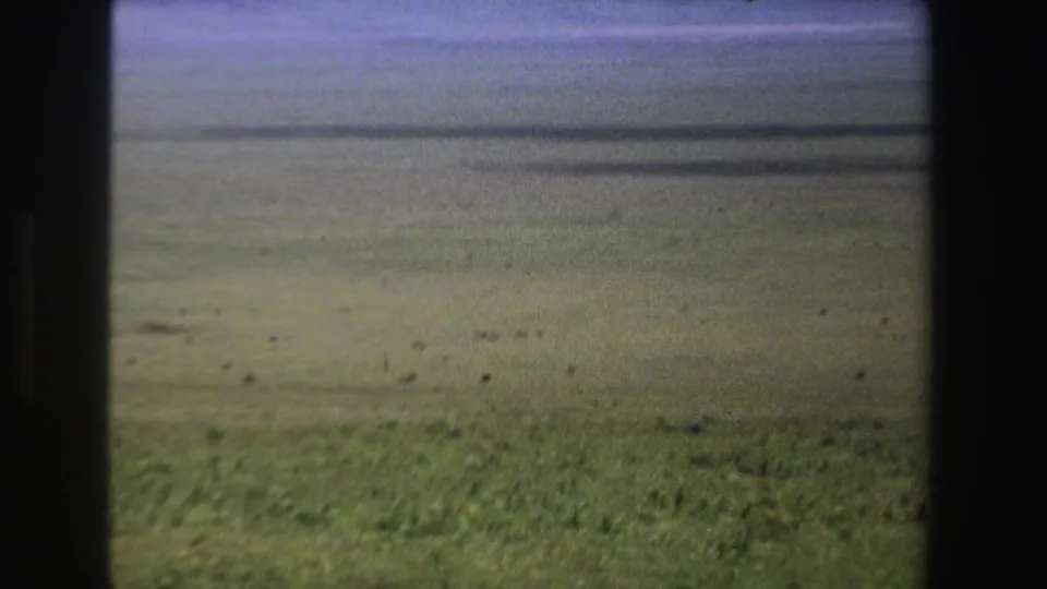 1969 South Africa 8mm frame looking across a broad grassy plain toward distant hills under a soft, clouded sky.