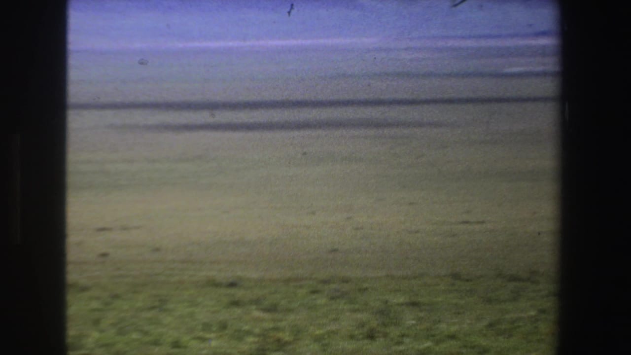 Open grassland partly obscured by dark film-frame edges, with no animal clearly visible.