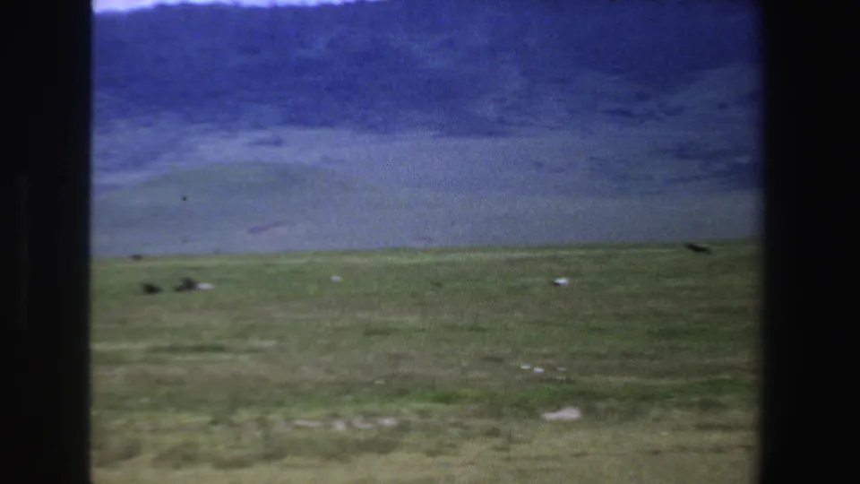 1969 South Africa 8mm frame showing a wide savanna view, tiny distant wildlife, and visible film grain.