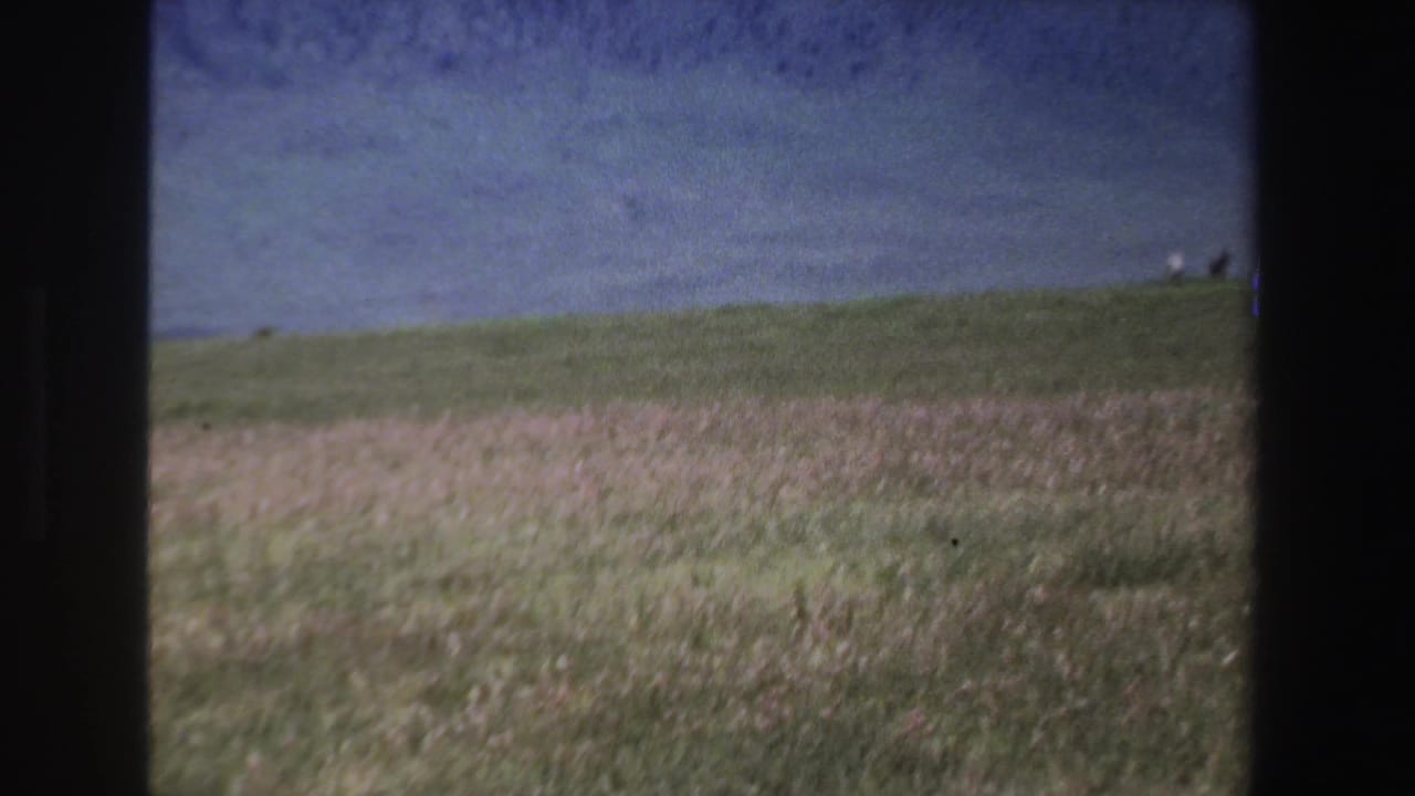 1969 South Africa 8mm frame of open grassland with small antelopes scattered near the horizon beneath a shadowed hillside.