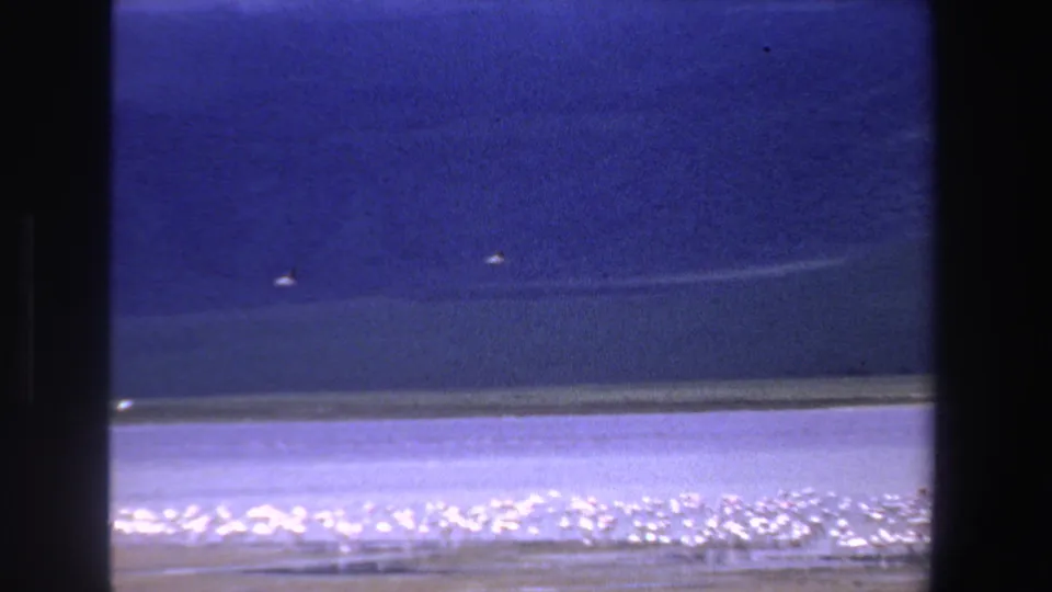 1969 South Africa 8mm frame showing a blue water body, bright shoreline, and small birds visible in the distance.