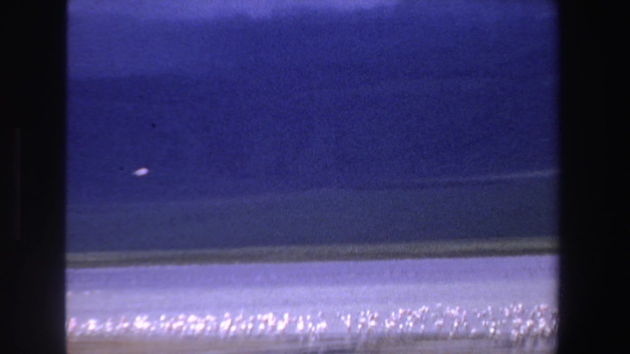 Small white birds fly over a blue lake below distant hills.