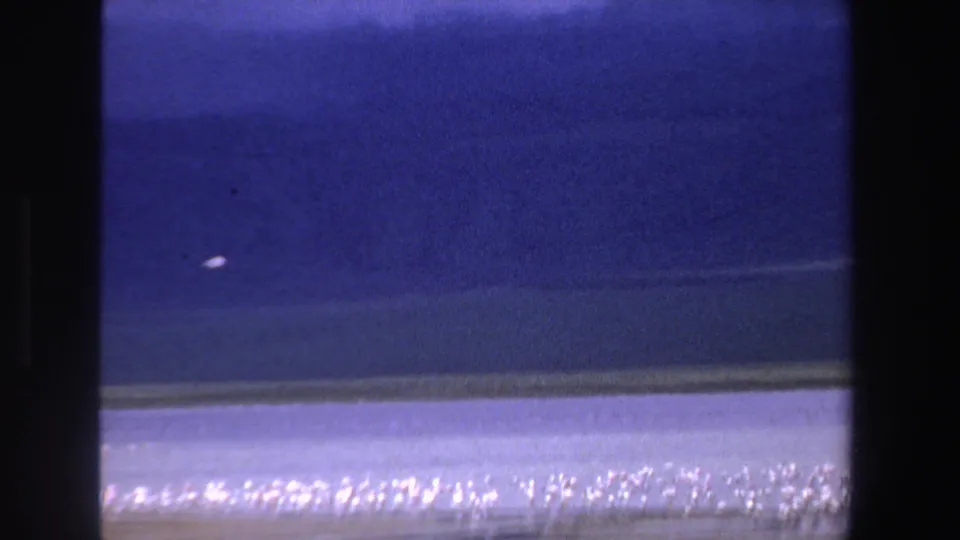 1969 South Africa 8mm frame showing small white birds crossing a blue lake with distant mountain ridges and bright shoreline glare.