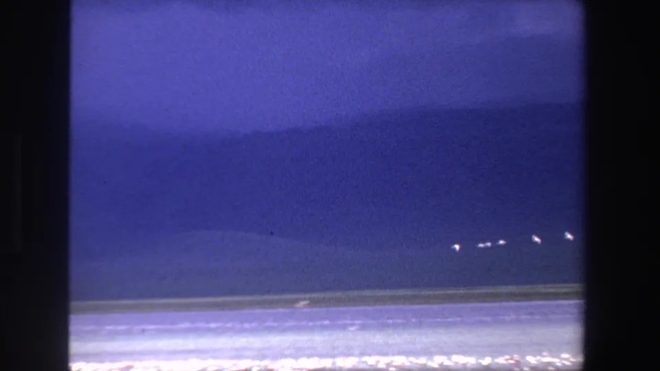 1969 South Africa 8mm frame showing scattered white birds flying low across a blue lake, with a bright shoreline and soft mountain backdrop.