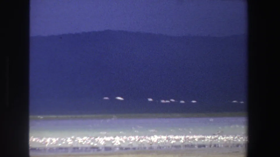 1969 South Africa 8mm frame showing a low flight line of white birds over a lake, with hazy hills and bright shore reflections.