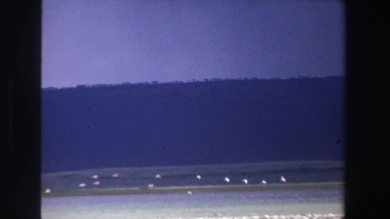 Distant white birds pass over calm coastal water in a 1969 South Africa 8mm frame, with mountain slopes in the background.