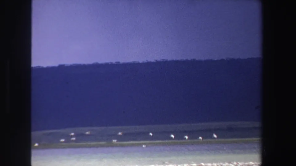 Distant white birds pass over calm coastal water in a 1969 South Africa 8mm frame, with mountain slopes in the background.