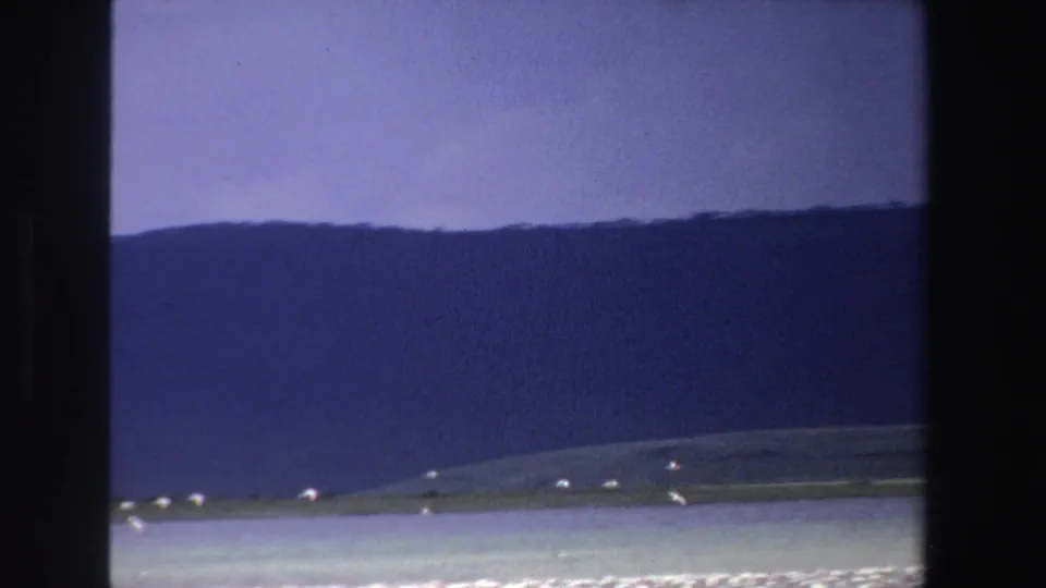 Soft 8mm frame of a South African coastal view in 1969, with scattered white birds, pale water and a dark mountain backdrop.