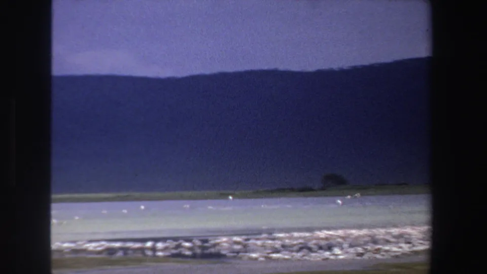 Final 8mm frame showing pale coastal water, many small white birds near the shore and a dark South African mountain range beyond.