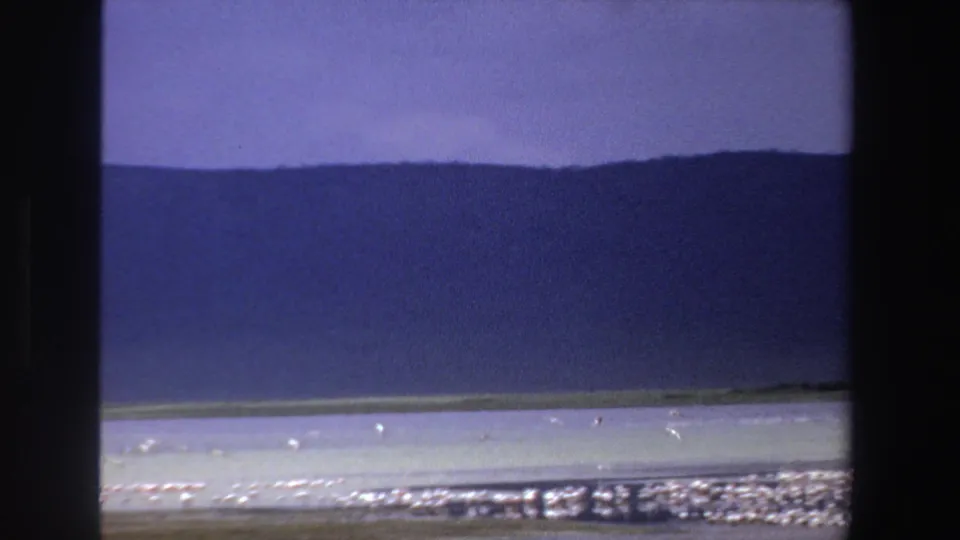 1969 South Africa 8mm frame showing flamingos along a pale lakeshore beneath a dark hillside and purple-tinged sky.