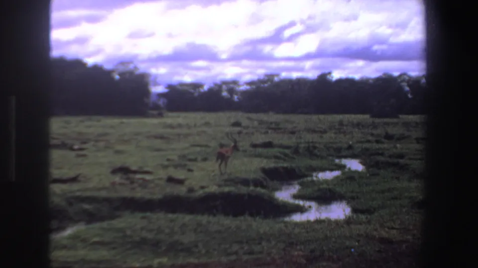 1969 South Africa 8mm frame of a distant antelope in grassy wetland, seen through dark edges with cloudy sky above.