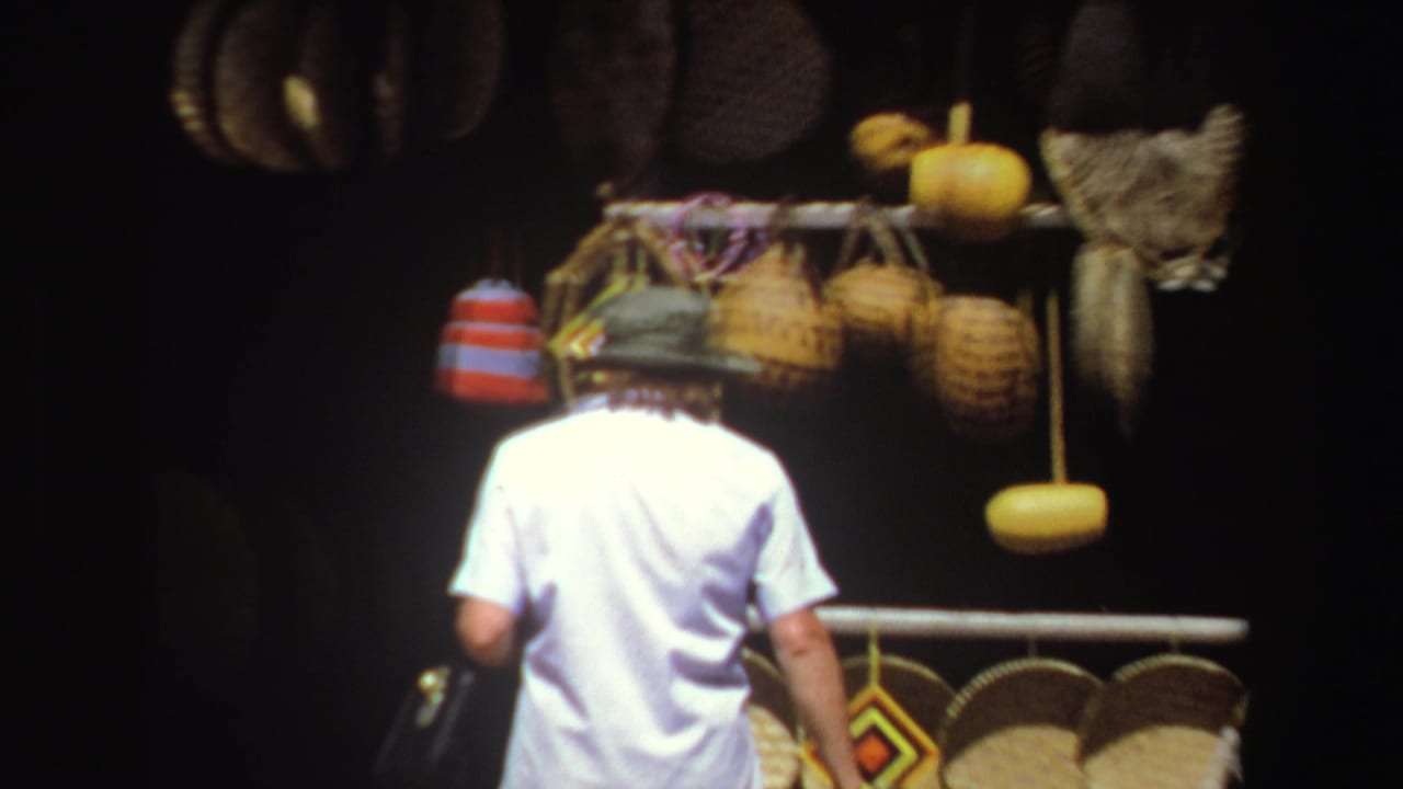 Visitor seen from behind beside hanging baskets and gourds at a market stall.