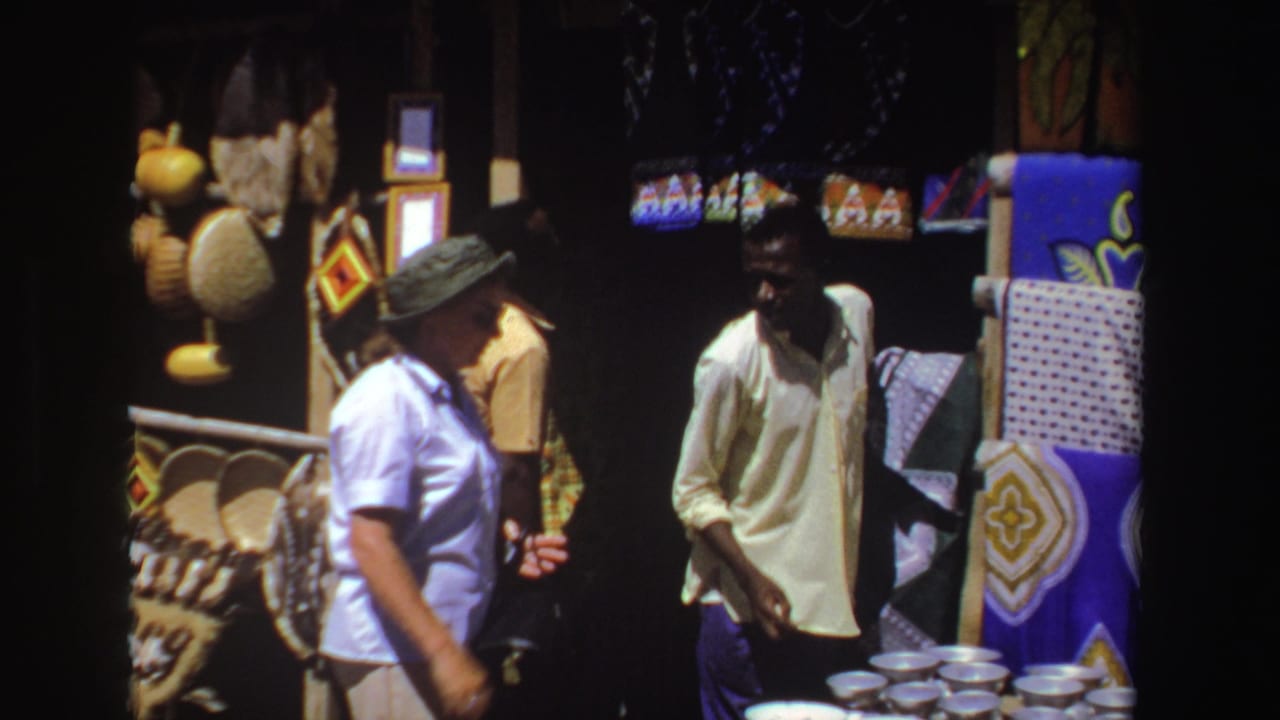 Woman in a brimmed hat stands near a merchant and colorful craft stall.