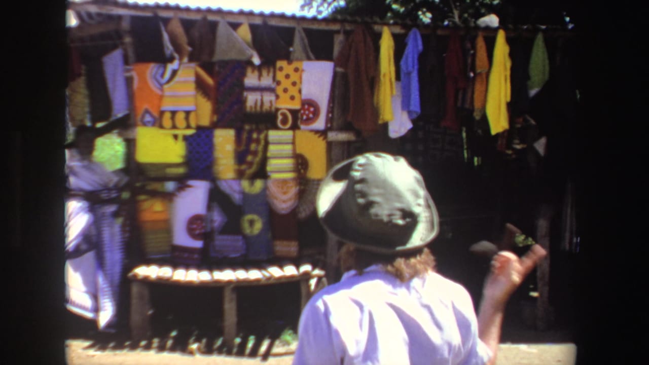 Woman in a green hat faces hanging patterned textiles at an outdoor market stall.
