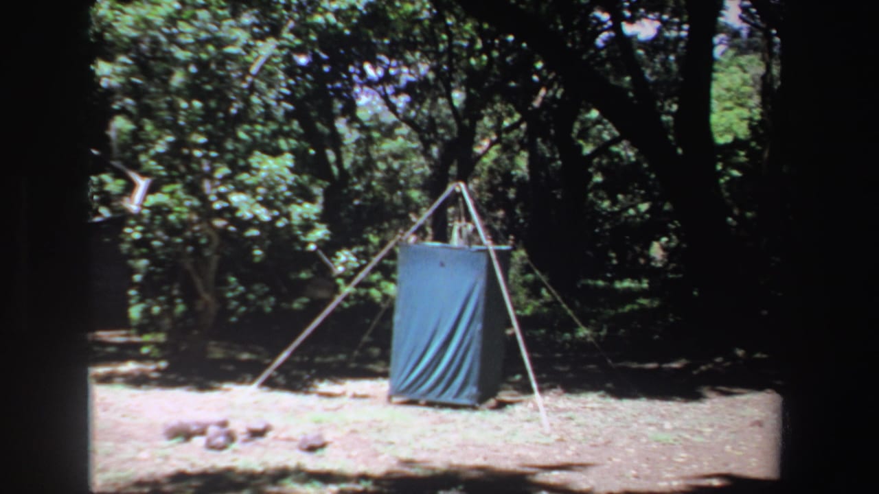 Blue tarp shelter standing in a shaded forest clearing.