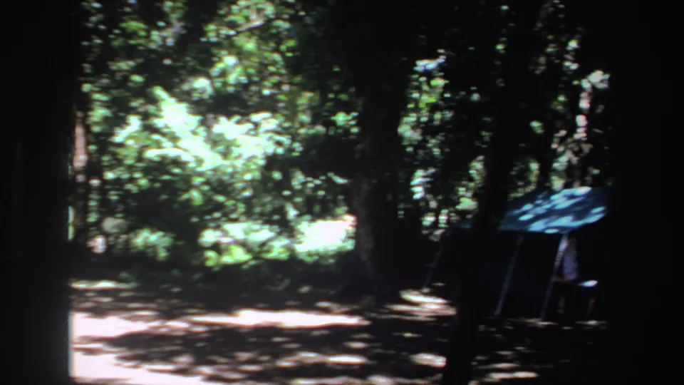 1969 South Africa 8mm frame showing the shadowed edge of an empty wooded campsite with blue shelter material at right.