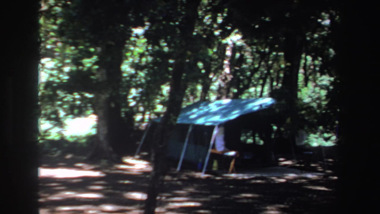 Blue canvas tent shelter among dense trees with dappled sunlight on the ground.