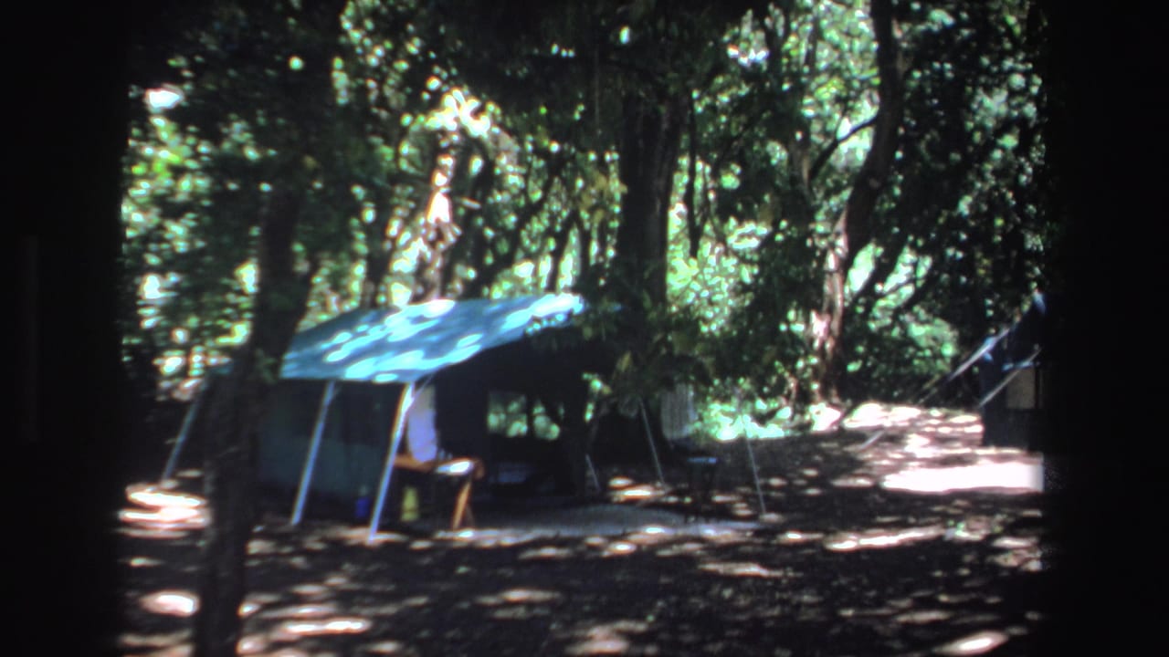 Two blue tent structures in a wooded campsite, partly obscured by tree shade.