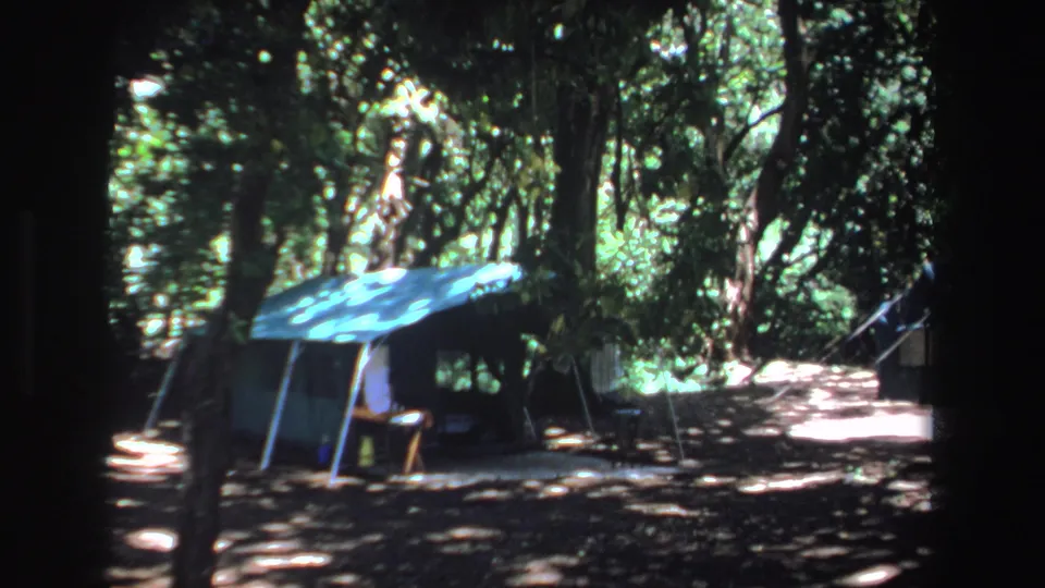 1969 South Africa camping scene with blue tenting, forest canopy, and sunlit ground patches.