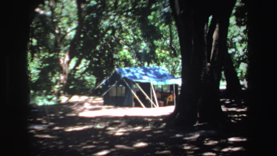 1969 South Africa 8mm still of a blue campsite tent framed by dark tree trunks and foliage.