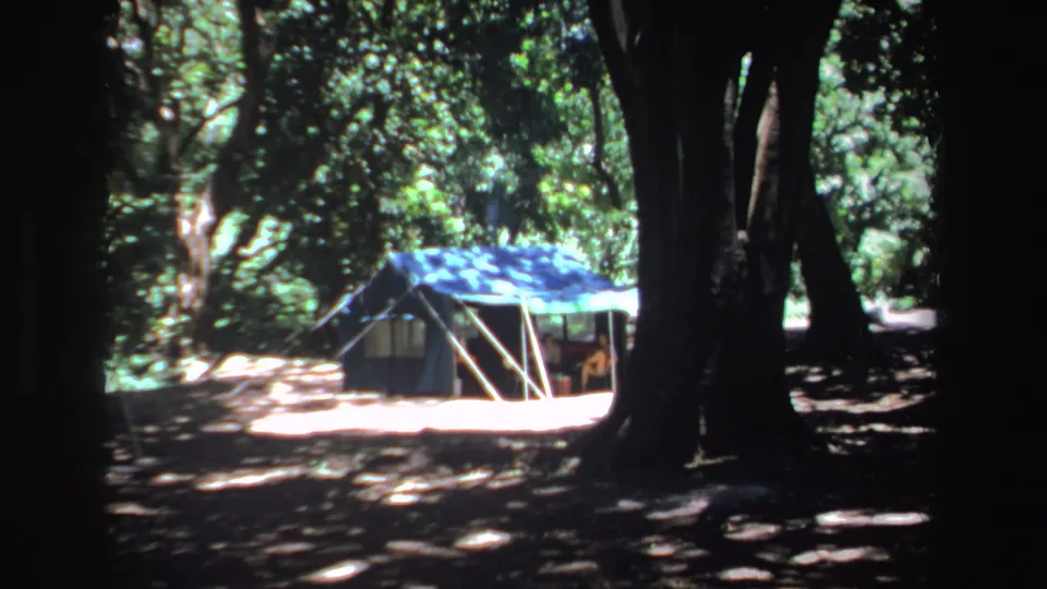 1969 South African 8mm frame showing a blue-green tent set back among dark tree trunks and bright woodland patches.