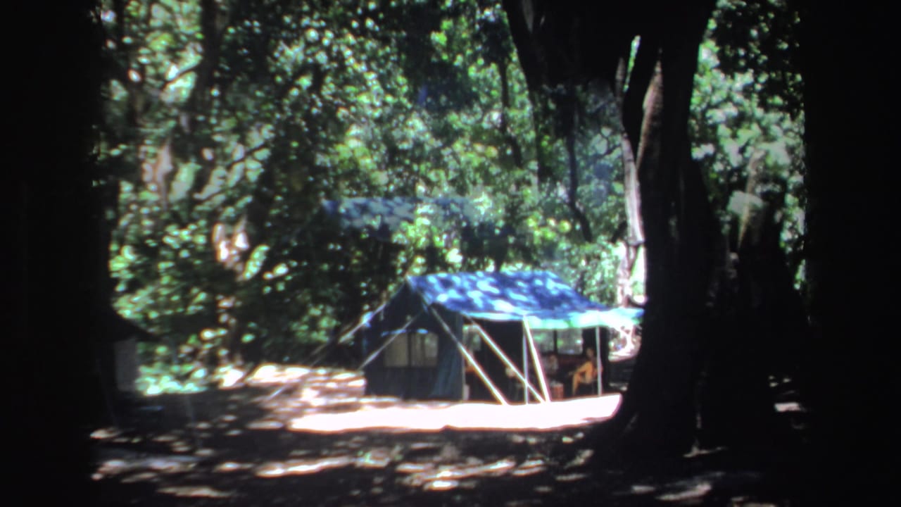 Forest campsite with a tent seen through dark tree trunks.