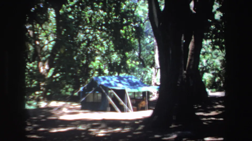 1969 South Africa 8mm still showing a tent under leafy trees, viewed from a shaded position in the forest.