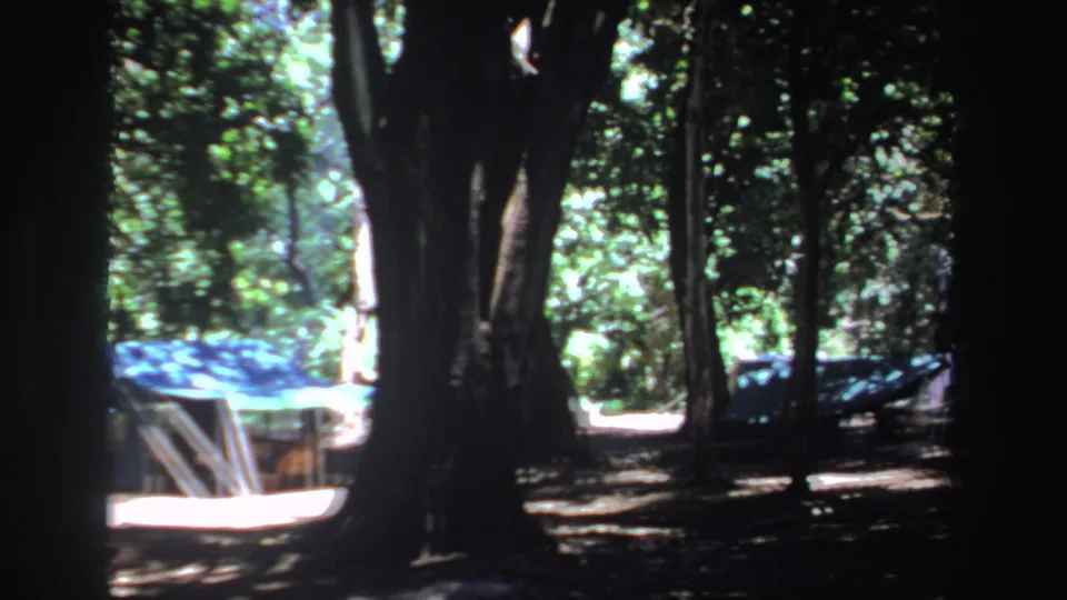 Late-1960s South African 8mm frame with the tent partly hidden by dark trunks and dense woodland shade.