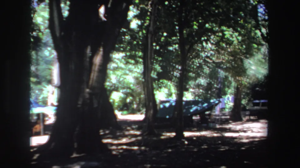 1969 South Africa 8mm frame showing a dark wooded foreground and parked cars in a sunlit clearing beyond the trees.