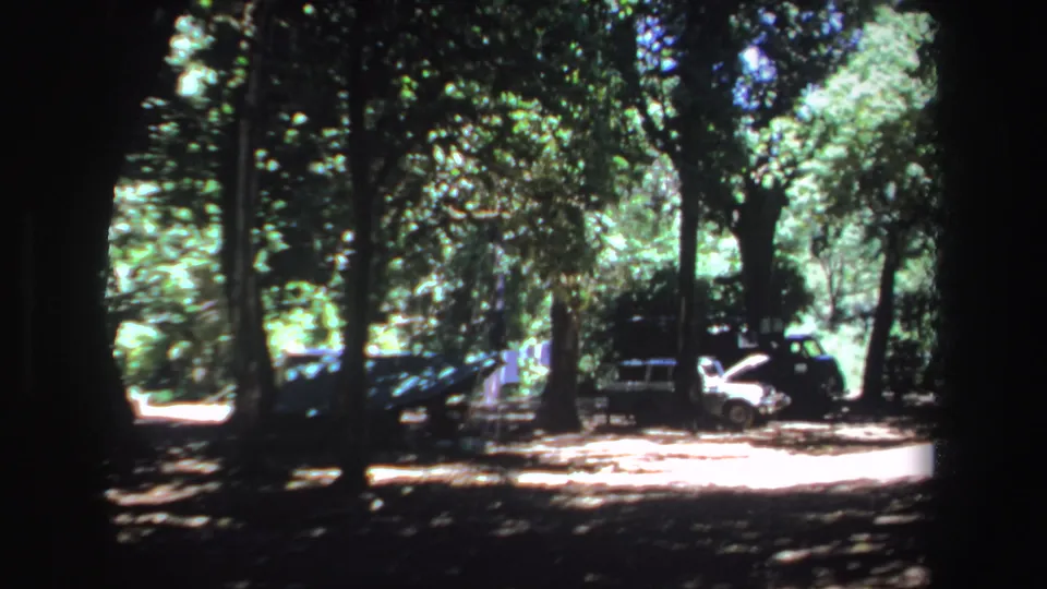1969 South Africa home-movie frame with several cars parked under leafy trees in a sun-dappled wooded area.