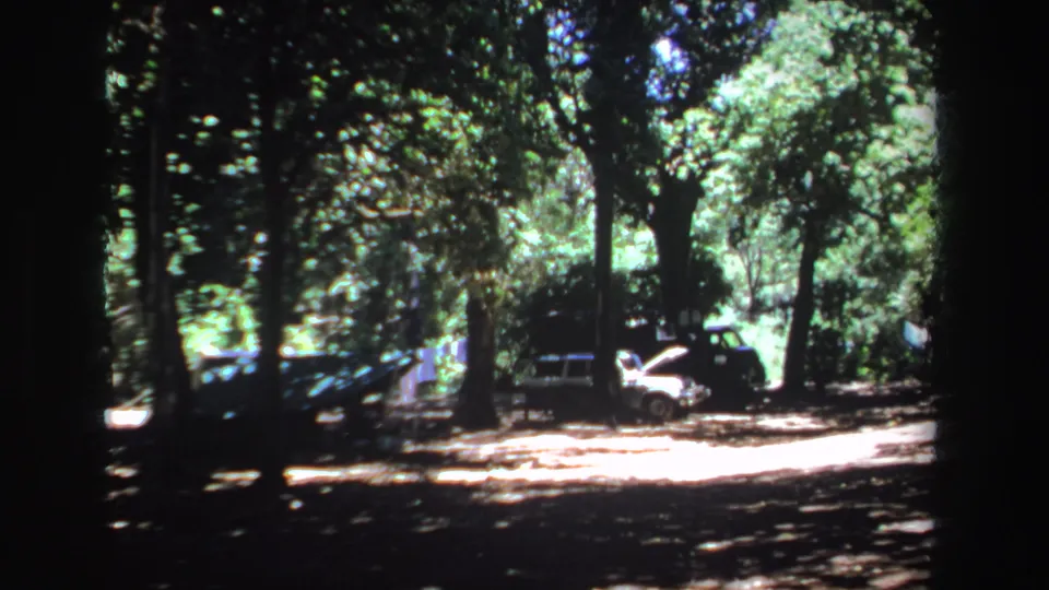 1969 South Africa 8mm view of a forest clearing, with parked cars under trees and high-contrast patches of sunlight and shade.
