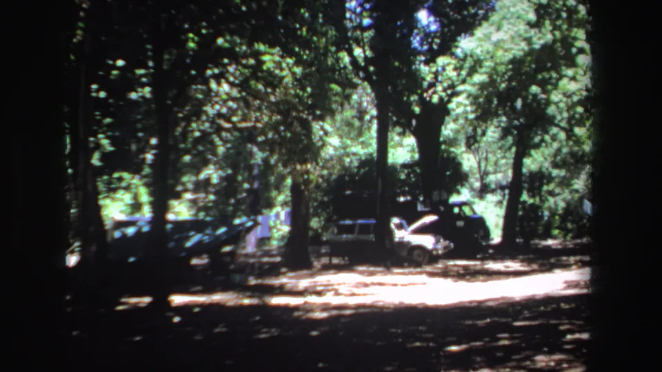 Final 1969 South Africa frame showing parked cars beneath a dense green canopy, with dark foreground shade and bright ground beyond.