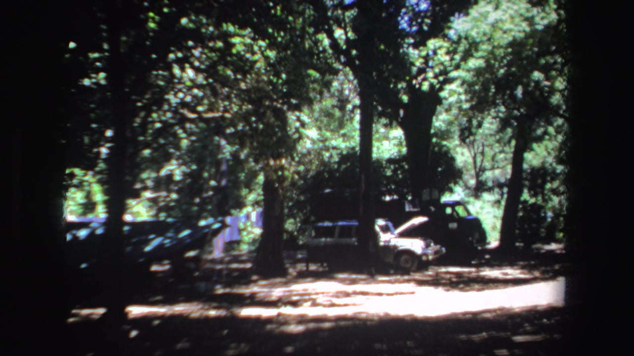Wide view of cars parked under trees with one white car hood raised.