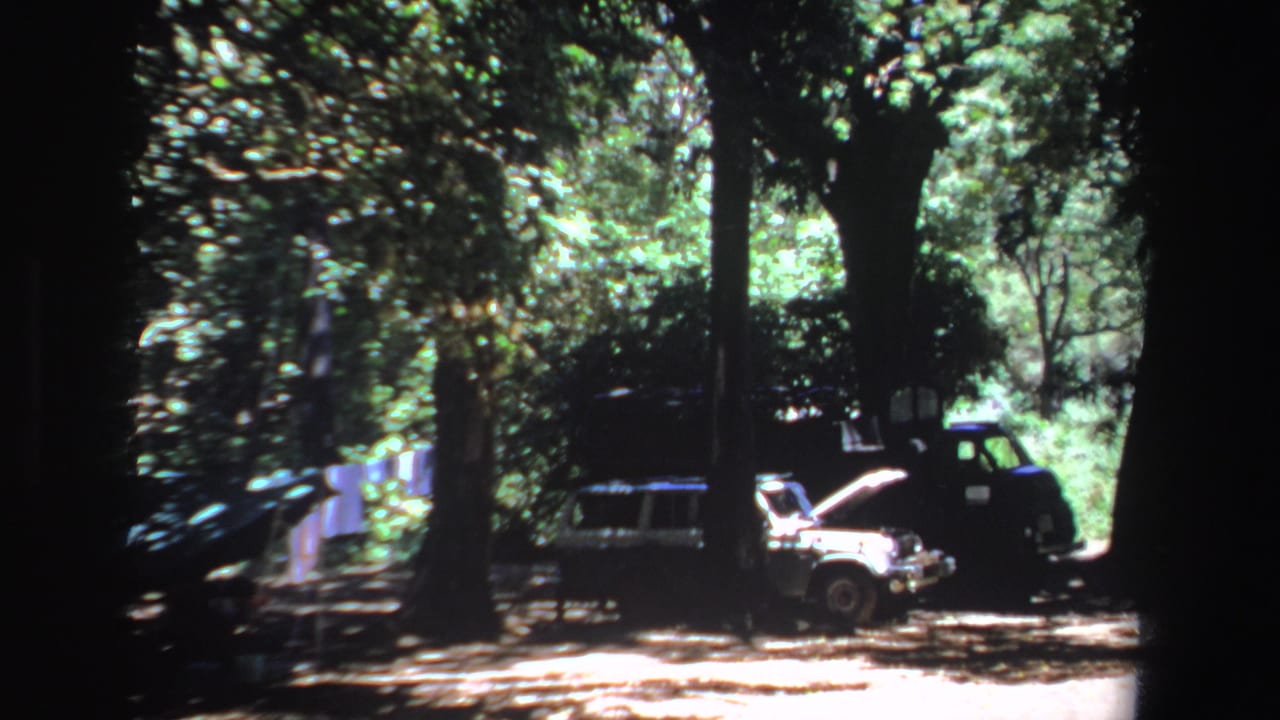 Parked vehicles in a wooded clearing with a white car hood open.