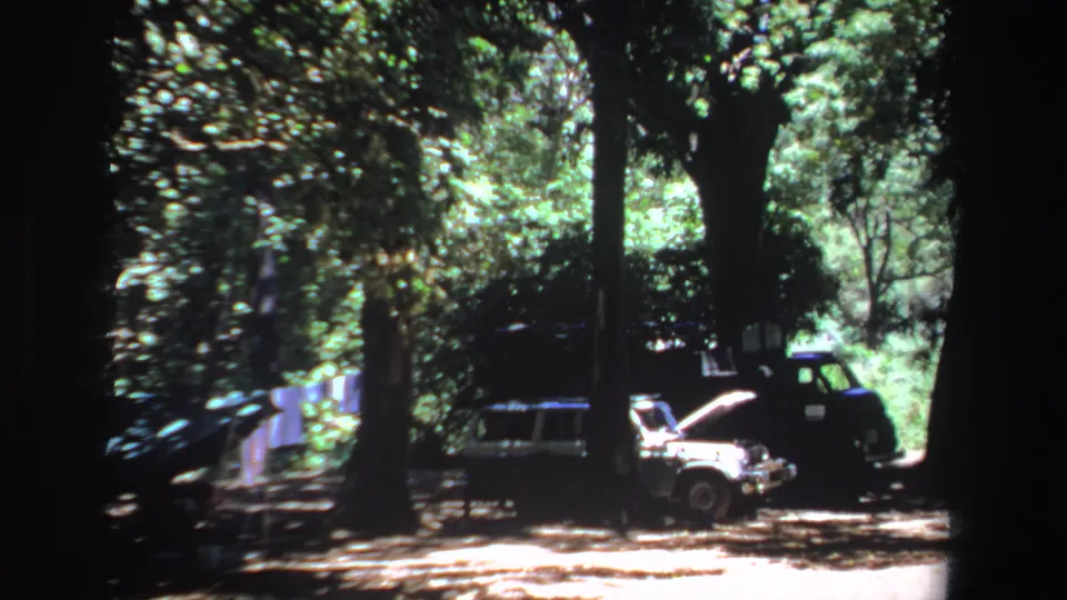 The camera moves closer to a white car with its hood open beside a dark vehicle in a South African wooded clearing.