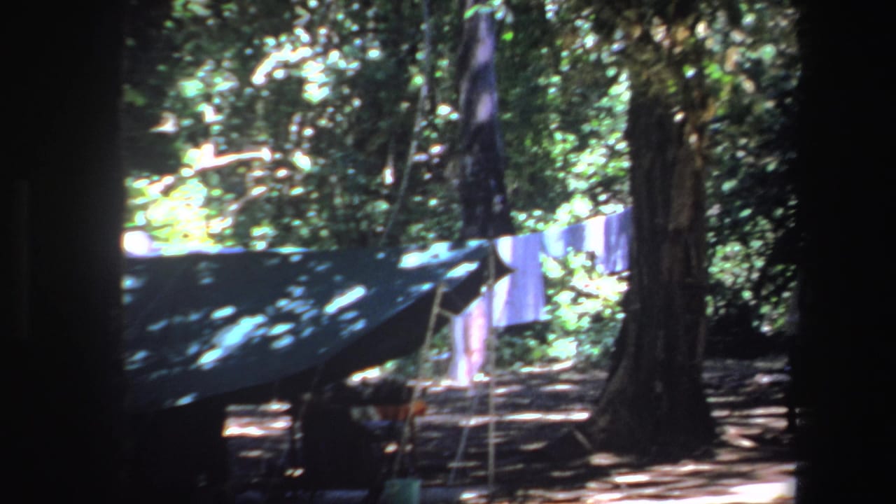 1969 South Africa 8mm frame showing a shaded forest campsite with a blue green tarp shelter and laundry line between trees.