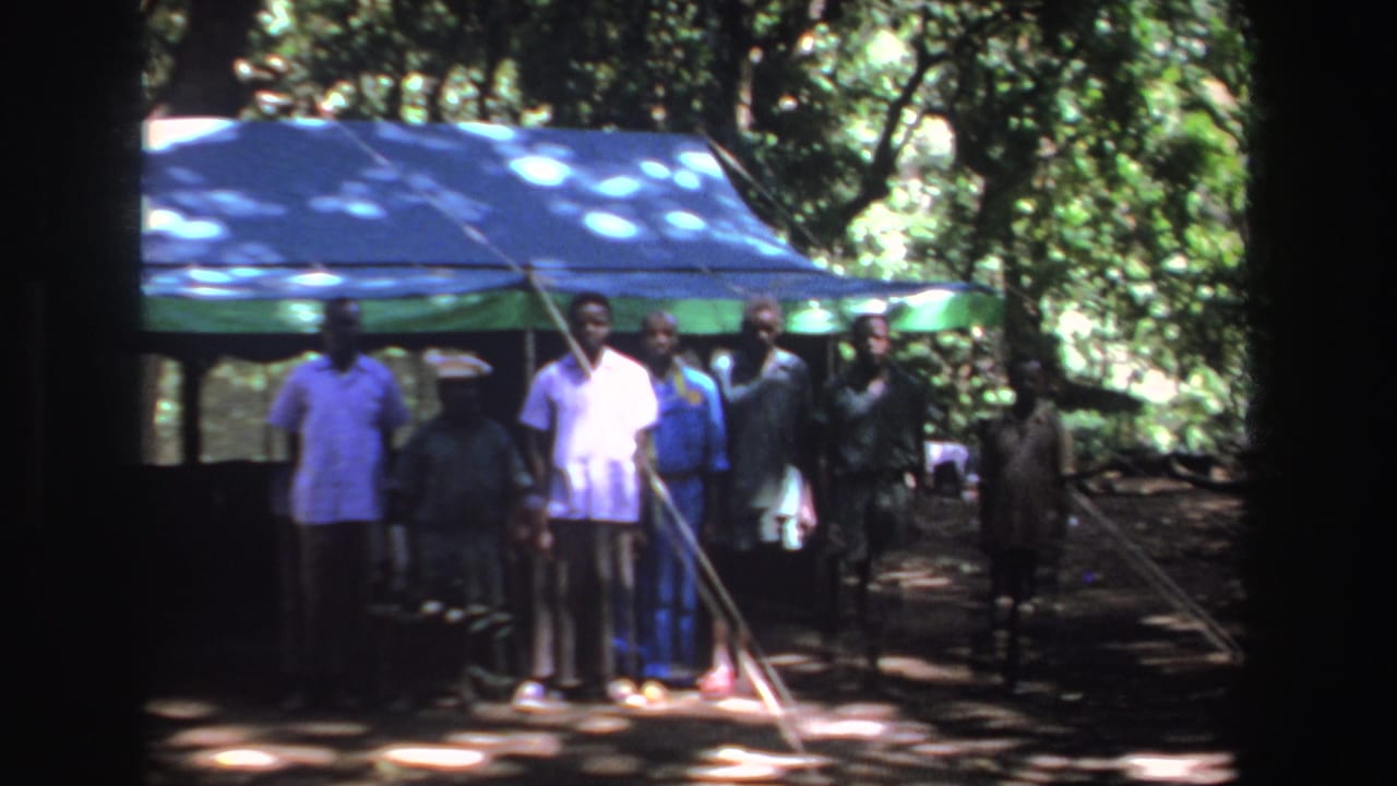 Group of Black men standing under a blue tarp in a wooded area.