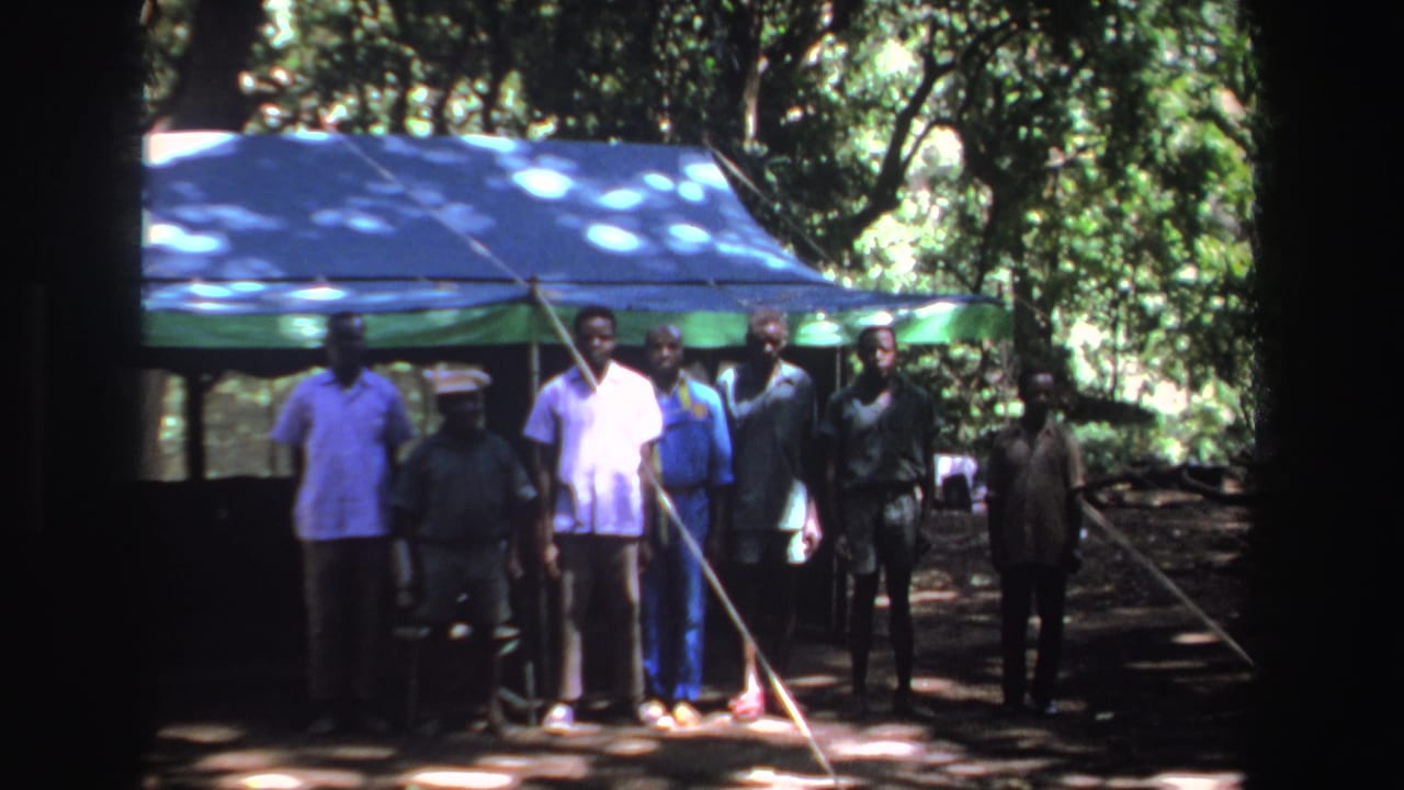 Men standing in a line near a blue-and-green tarp shelter outdoors.