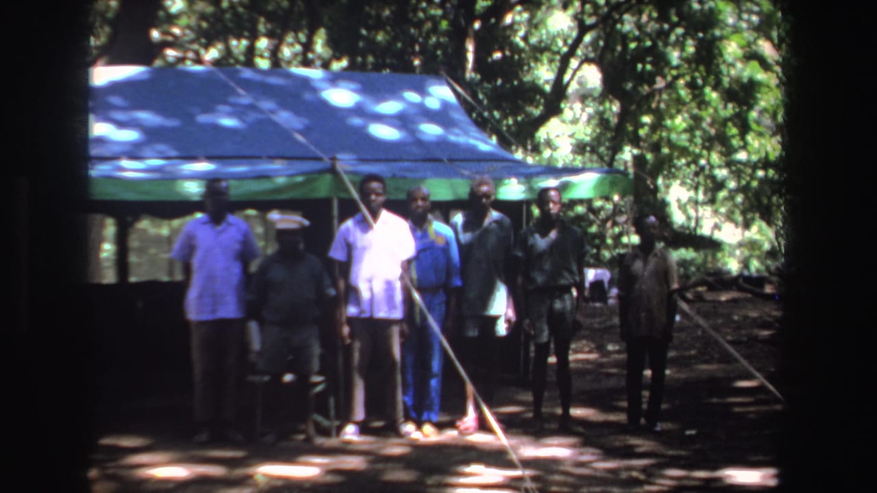 Men standing in front of a blue and green tarp shelter in a wooded clearing.