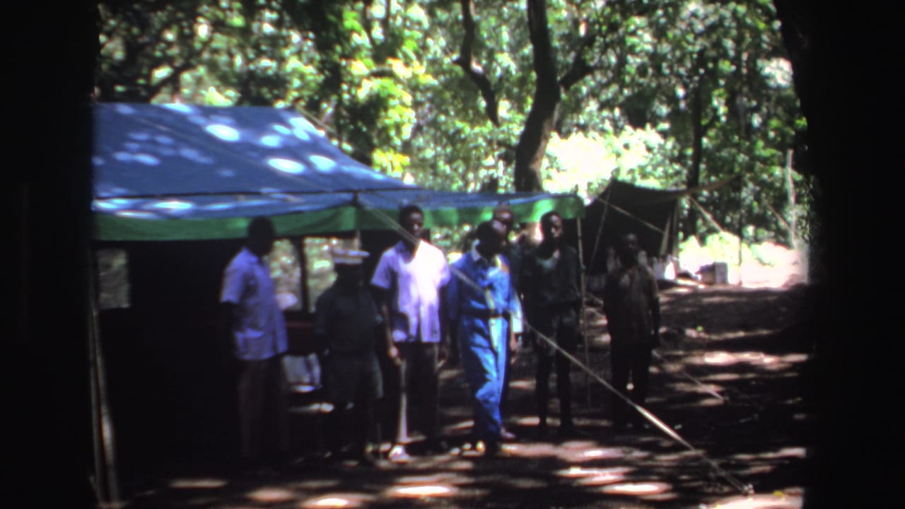 Several men stand near a blue and green tent under trees.