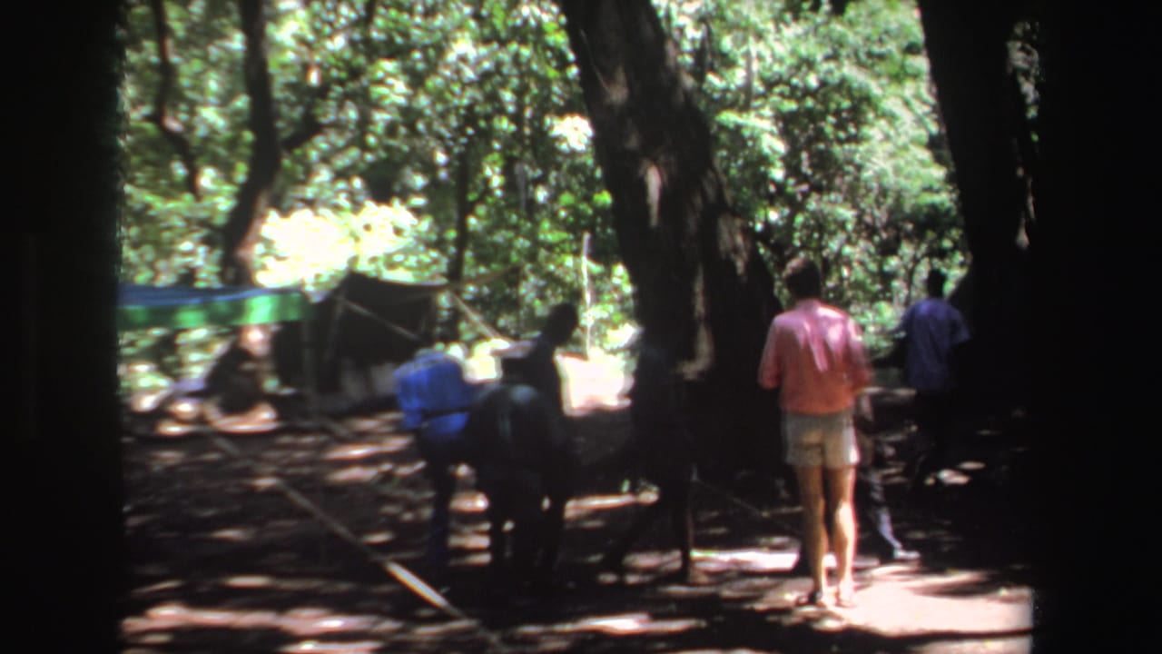 Several adults walk and sit among large trees at a shaded campsite.