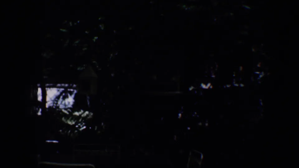 Underexposed 1960 Baltimore garden frame with dense foliage, deep shade, and faint patio furniture shapes.