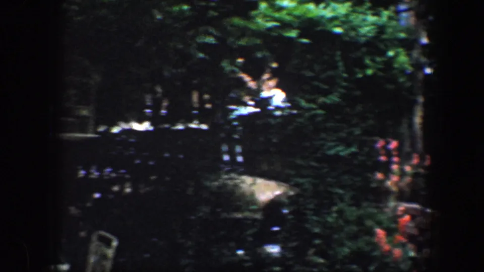 1960 Baltimore garden view showing leafy shrubs, tree trunks, patio chairs, and sunlit areas beyond the shade.