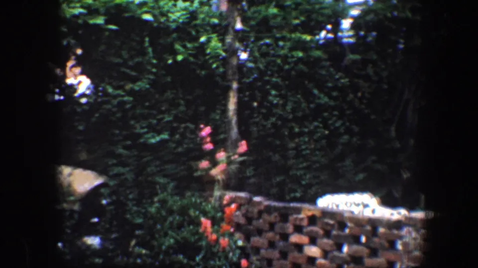 1960 Baltimore garden frame with dense greenery, red flowers, a low stone wall, and part of a red-and-white umbrella.